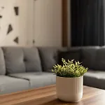 Lägenhet Nest Mirror *