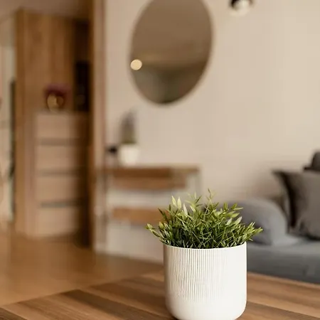 Nest Mirror 아파트 *