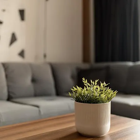 Apartament Nest Mirror *