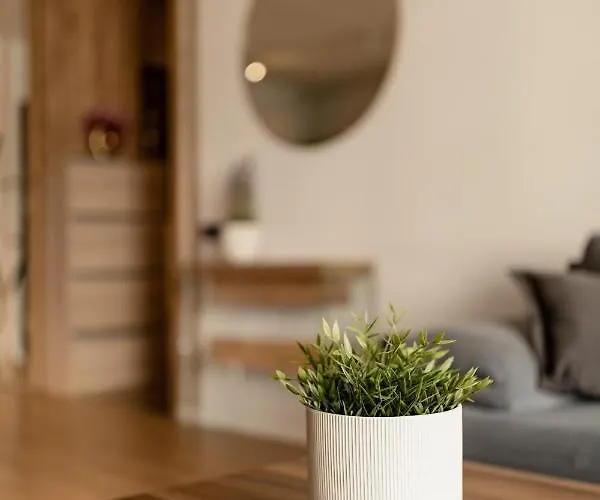 Nest Mirror Lägenhet *