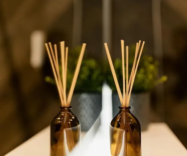 Nest Mirror Lägenhet Cluj-Napoca