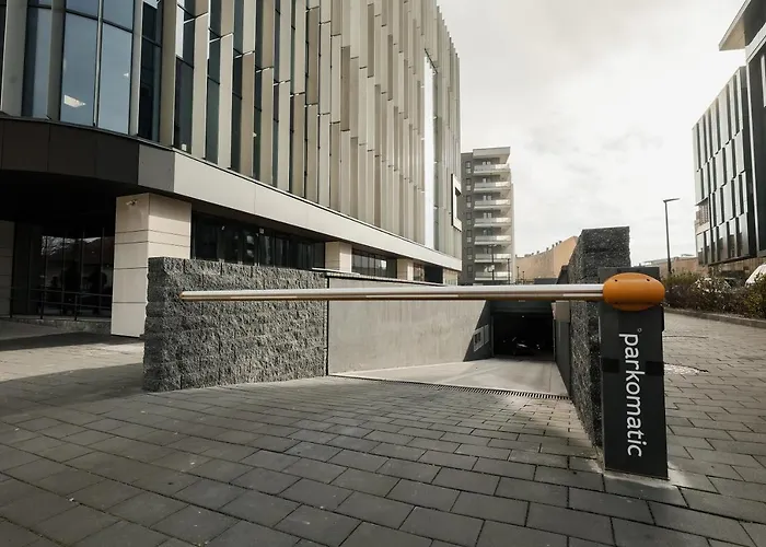 Nest Mirror Cluj-Napoca